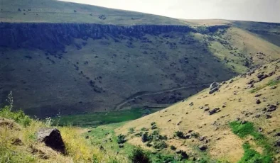 Ağrı’da Düzmeydan Vadisi Sonbaharda Hayvanlara Açıldı