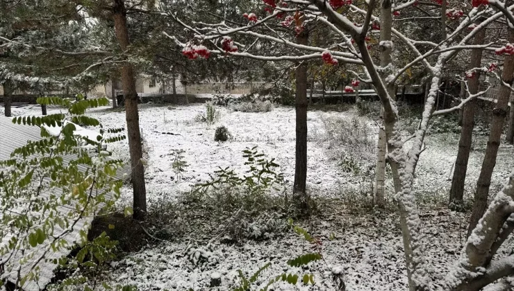 Ardahan’da Kar Manzarası