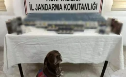 Gümrük Kaçağı Sigara ve Parfüm Ele Geçirildi